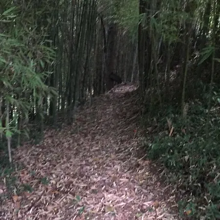 Nyaraló Casina Os Lueiro